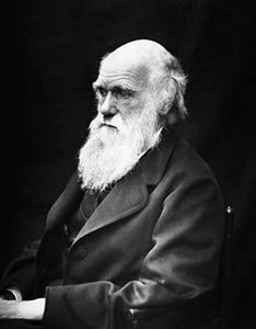 Цитаты Чарлза Дарвина