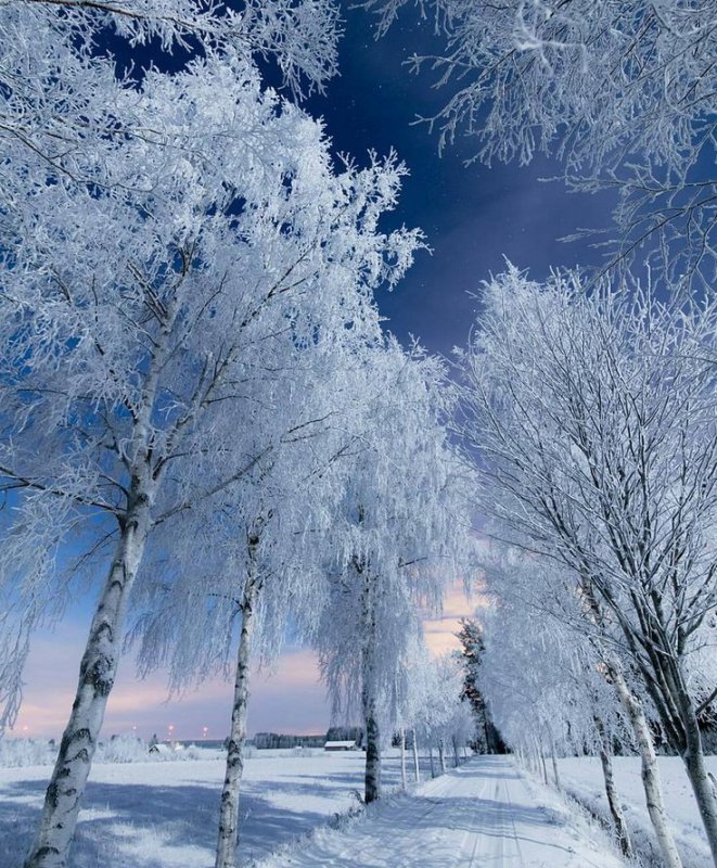 Белая Зима Фото