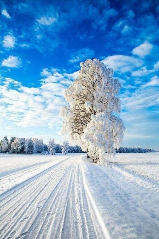 Эстетичные Фото Зимы