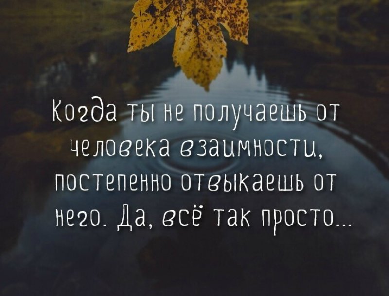 Любимый не отвечает взаимностью. Когда ты не получаешь от человека взаимности. Цитаты про взаимность в отношениях. Цитаты про взаимность к людям. Отвыкаешь от человека цитаты.