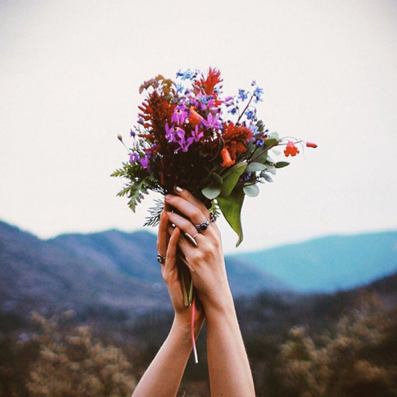 Каждый новый день новые победы. Душевные цветы. Красота в простых вещах. Цветок спокойствия. Счастье в простых вещах.