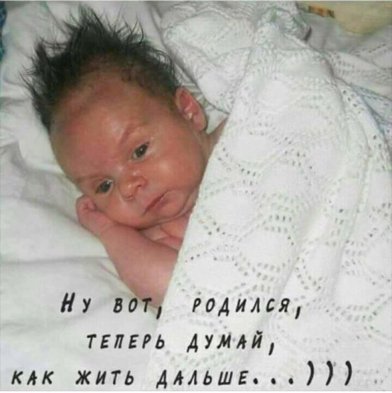 Ты родился картинка