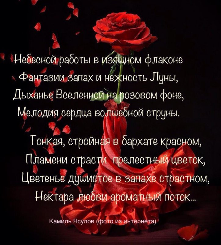 Стихи о розах