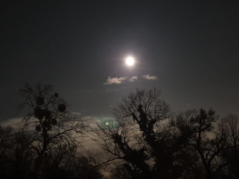 Луна, ночная тишина...