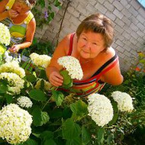 Наталья Шаповалова