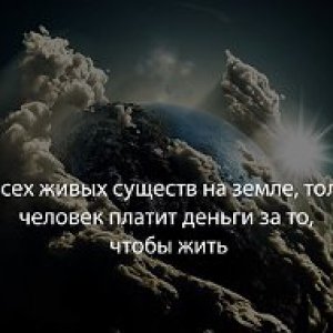 константин смирнов