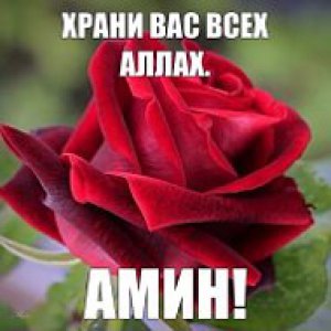 Алмагуль Бауржан Мырзалиевы