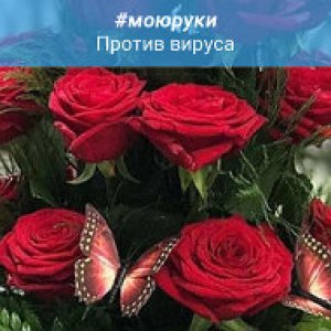 Ирина Кожевникова