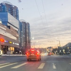 Людмила Пронькина