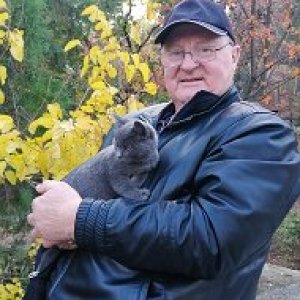 Василий Кирченко
