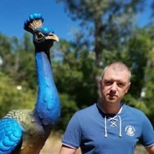 Андрей Корниенко
