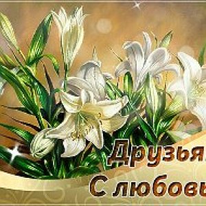 natali nikontcev