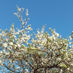 Марина Крючкова