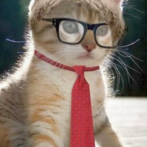 Лю Афанасьева