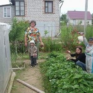 Маргарита Баранова