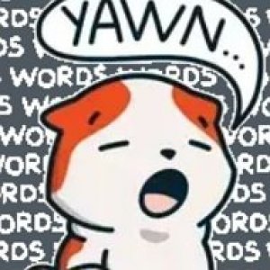 женя ложкина