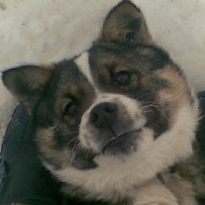 Алексей Иванов