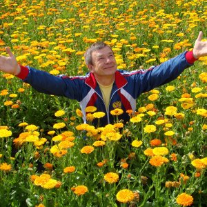 Николай Данилов