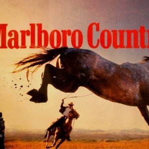 София Фалелеева