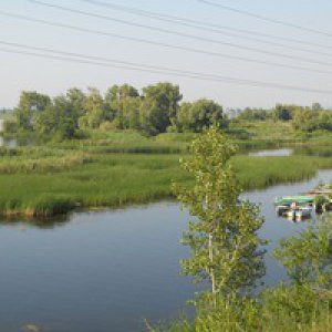 Елена Петрухина